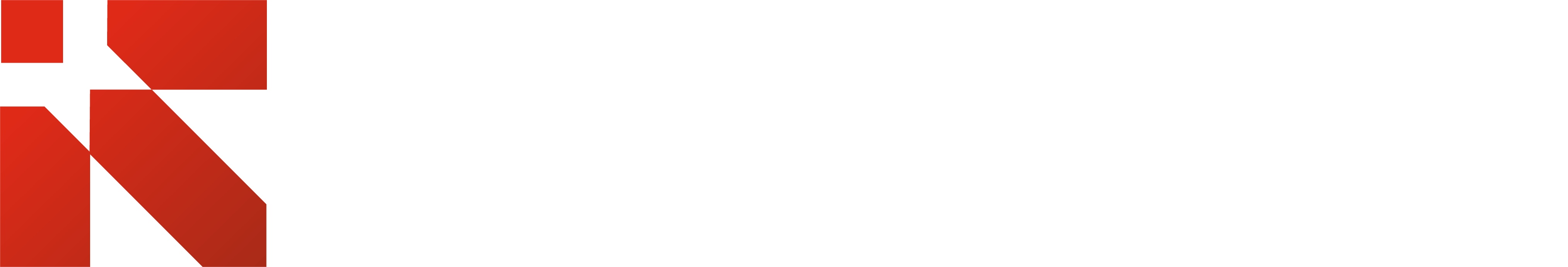 Raphics digital solutions logo